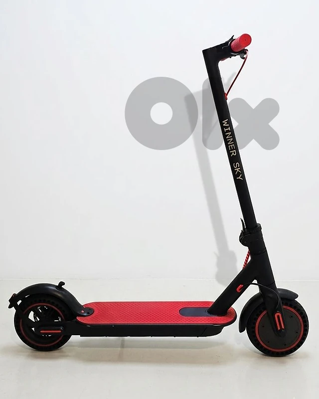 Electric Scooter Winner Sky