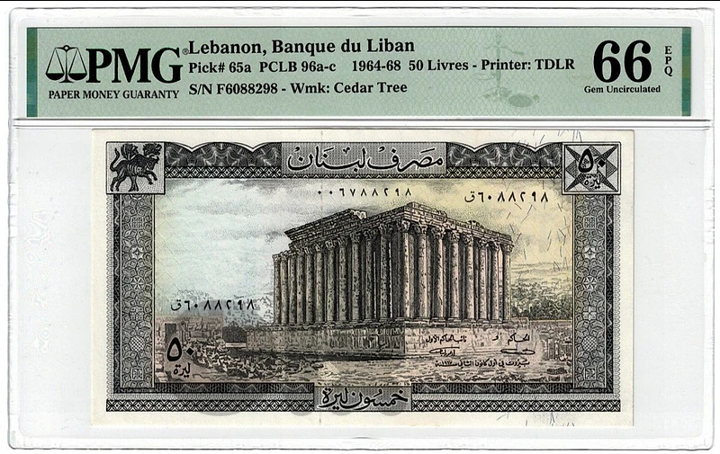 💰 منصة كنوز العملات 💰