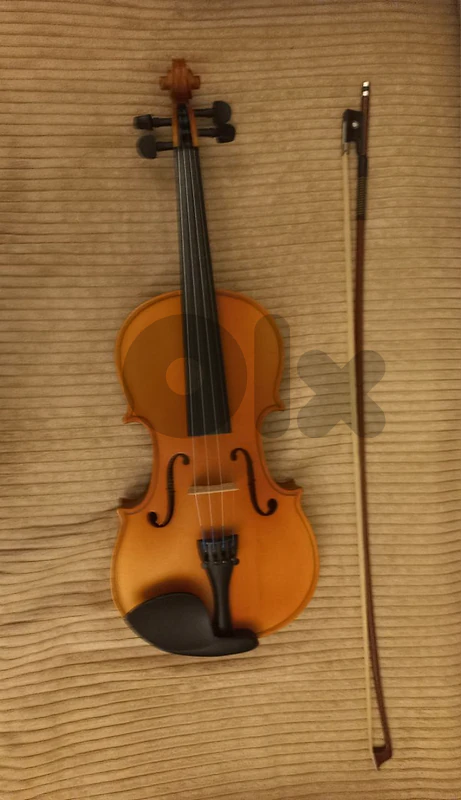 violin
