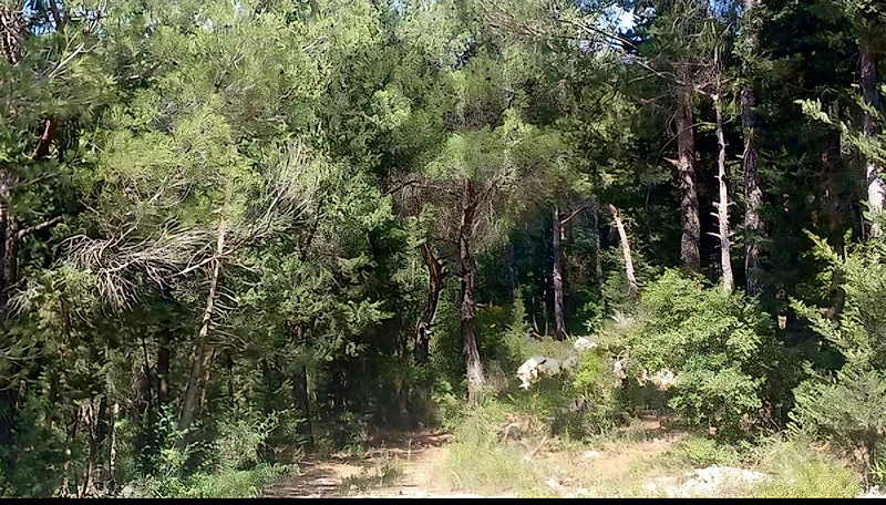land for sale in Hardin  أرض "لقطة"في حردين