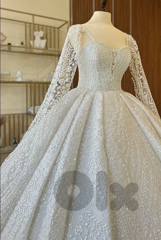 Wedding Dress V neck with sleeves and veil