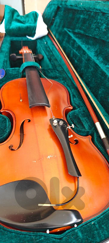 Violin