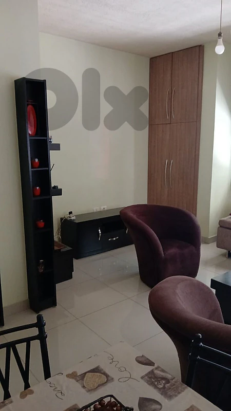 furnished or unfurnished apartment