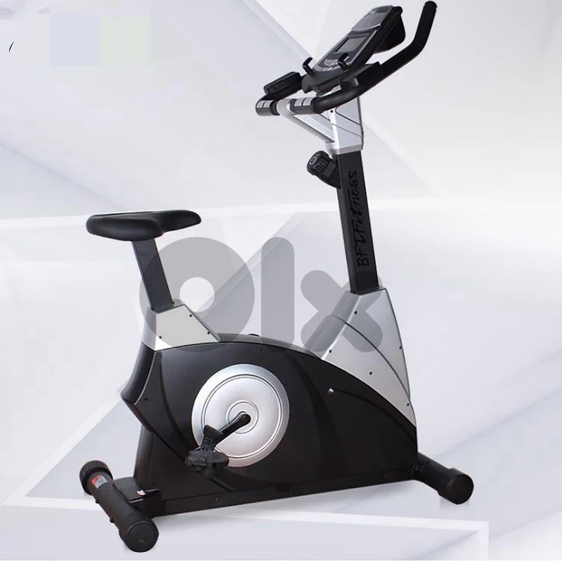 body systems magnetic bike