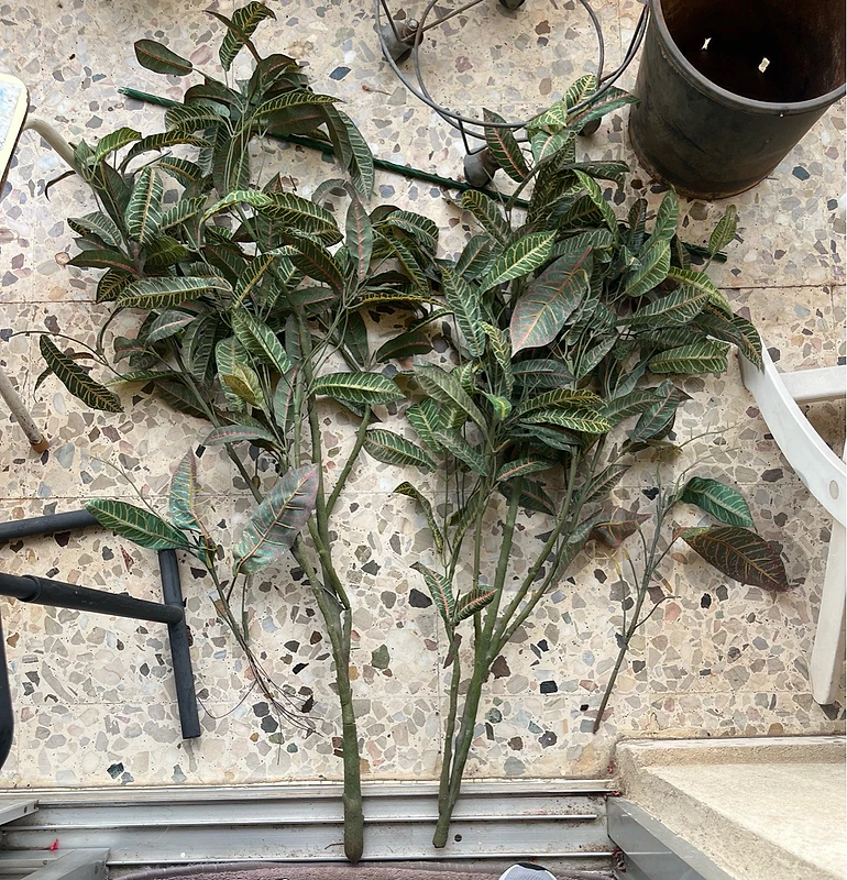 Large Artificial Croton Tree Branches (Set of 2)