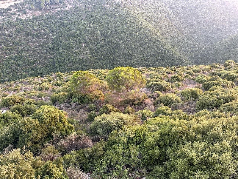 land for sale Ijdabra Batroun - أرض للبيع إجدبرا البترون
