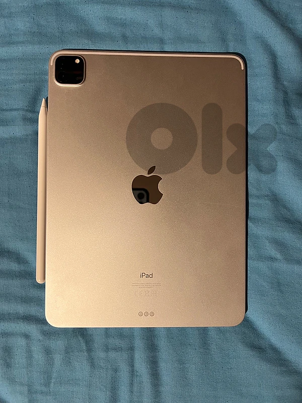 Ipad pro 11 inch (2nd generation) with apple pencil and case