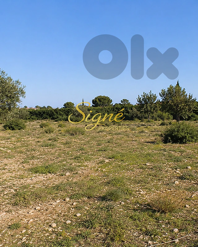 1,110 SQM Land For Sale – Bolonia – SGMJ200