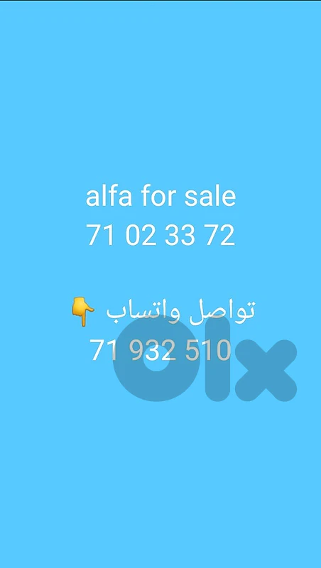 ألفا ألفا