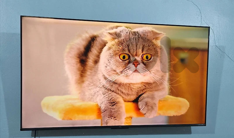 tv tcl 55 inch smart Qled 4k 385	$