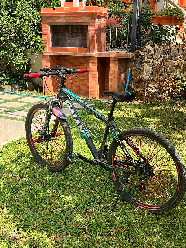 bicycle for sale