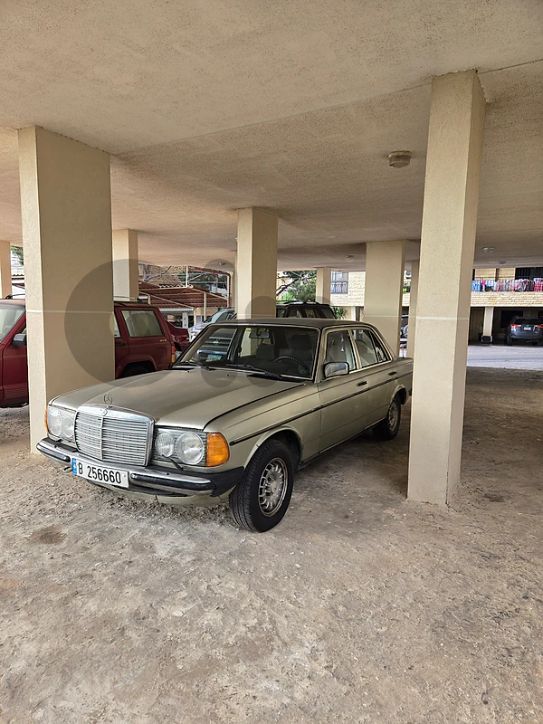 1981 Mercedes-Benz W123 230E – Classic Icon (Automatic)