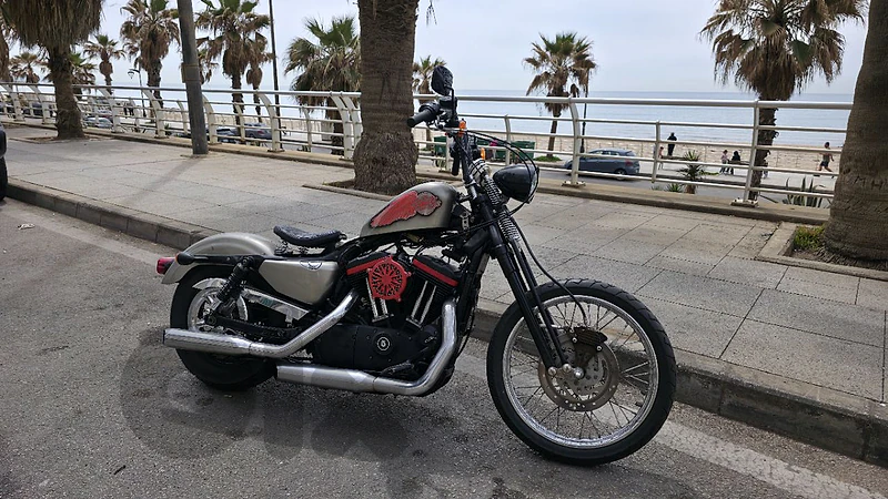 Harley Davidson, Sportster xl 1200, mod 2011, customised