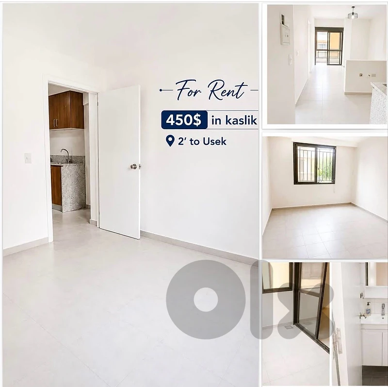 Kaslik studio for rent 450$