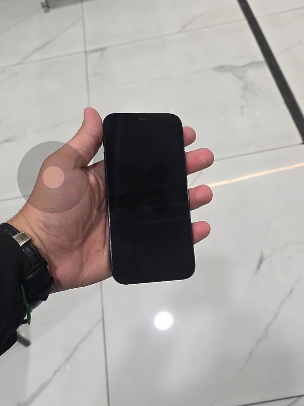 12 pro