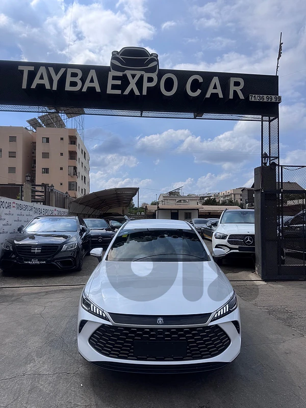BYD Other 2025 16000 BYD Other 2025 16000