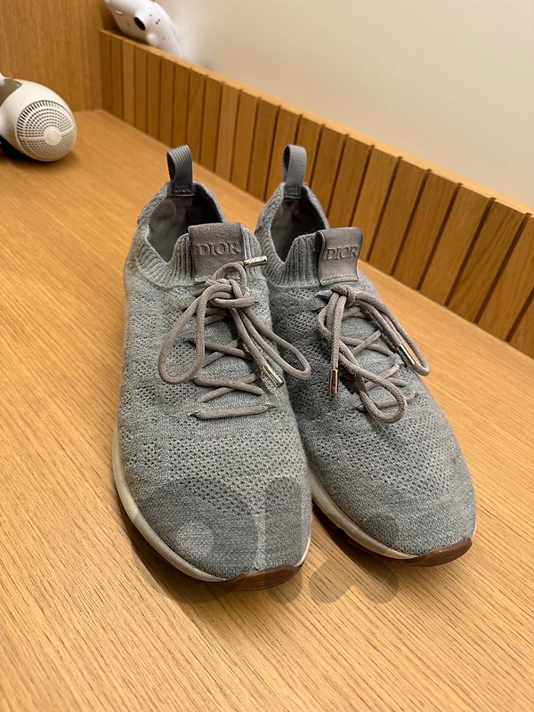 Dior B21 Neo Sneakers light grey