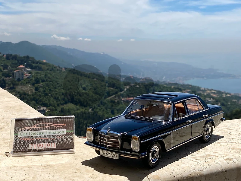 mercedes benz 200 diecast model car scale 1/18