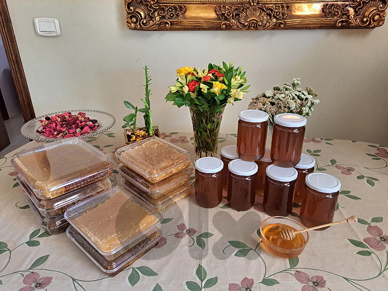 عسل طبيعي ( منحل الاستاذ نصري شعيب)