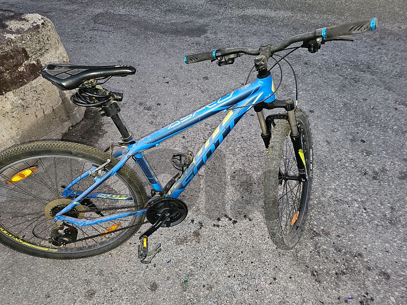 Giant bicycle