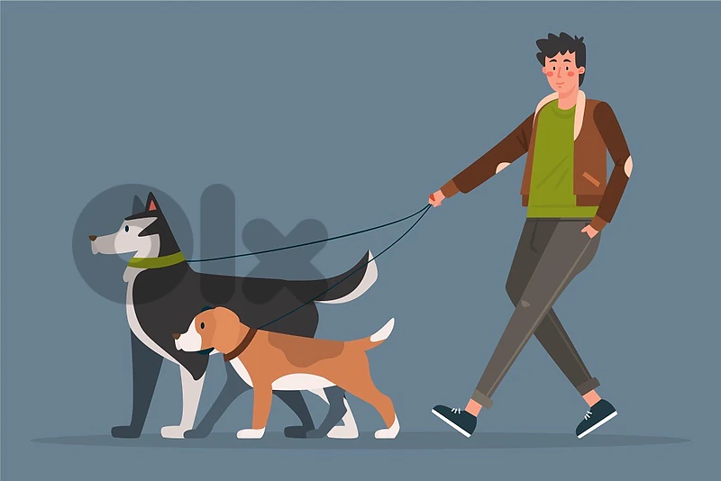 Dog walker