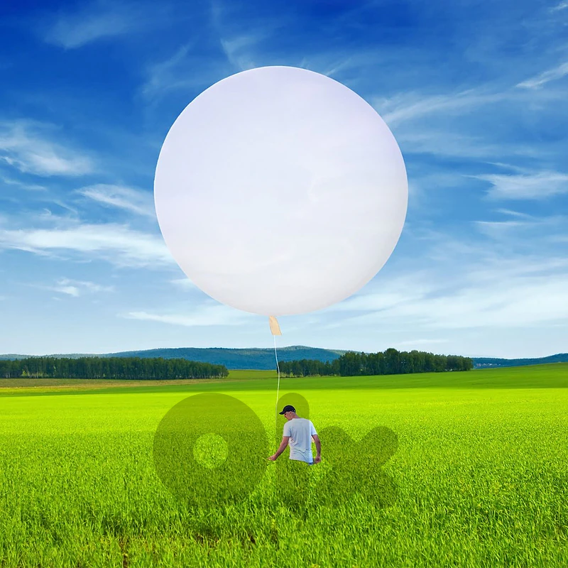 Latex Balloon 300 grs