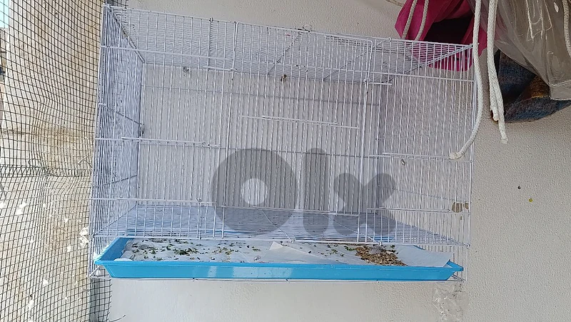 قفص جديد حجم متوسط ارتفاع ٣٨ عرض ٦٠ غمق ٤٠ موجود بعين الرمانة 25$