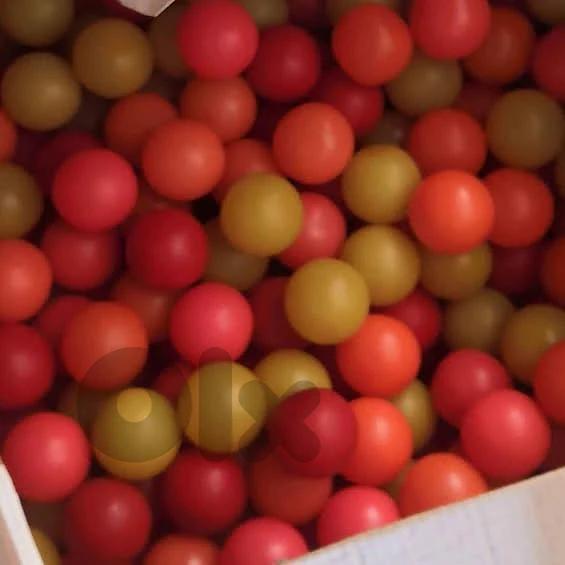 High-Quality Caoutchouc (Natural Rubber) Playing Balls High-Quality Caoutchouc (Natural Rubber) Playing Balls