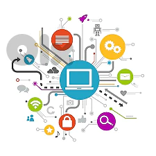 web development, data analyst, IT support
