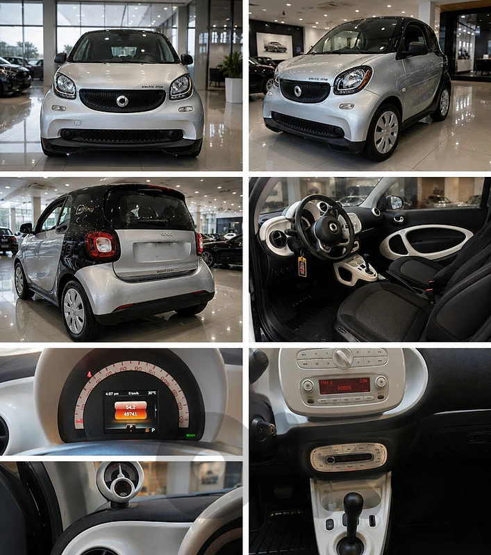 Smart ForTwo Electric Drive 2018 EV Smart ForTwo Electric Drive 2018 EV