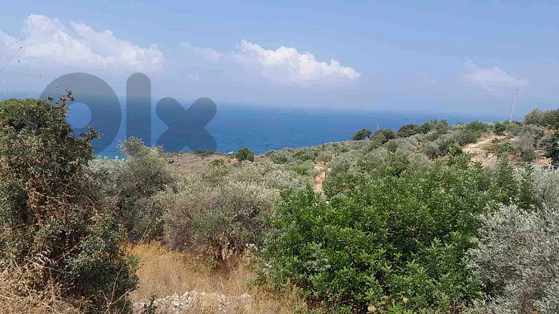 Land For Sale In Rihaneh Jbeil | Sea View | أرض للبيع | PLS 26598