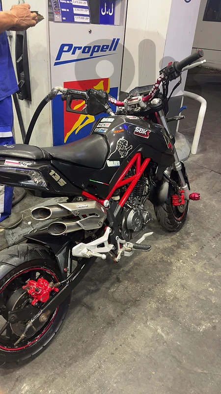 benelli for sale