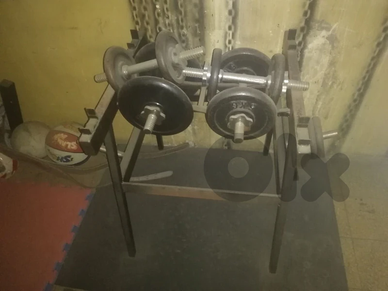 disc  plates