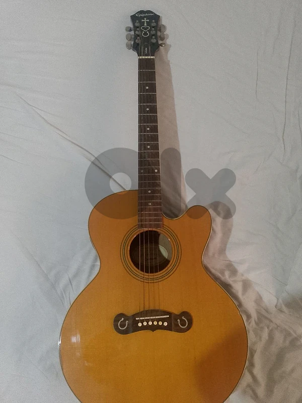 Looking for an acoustic guitar?