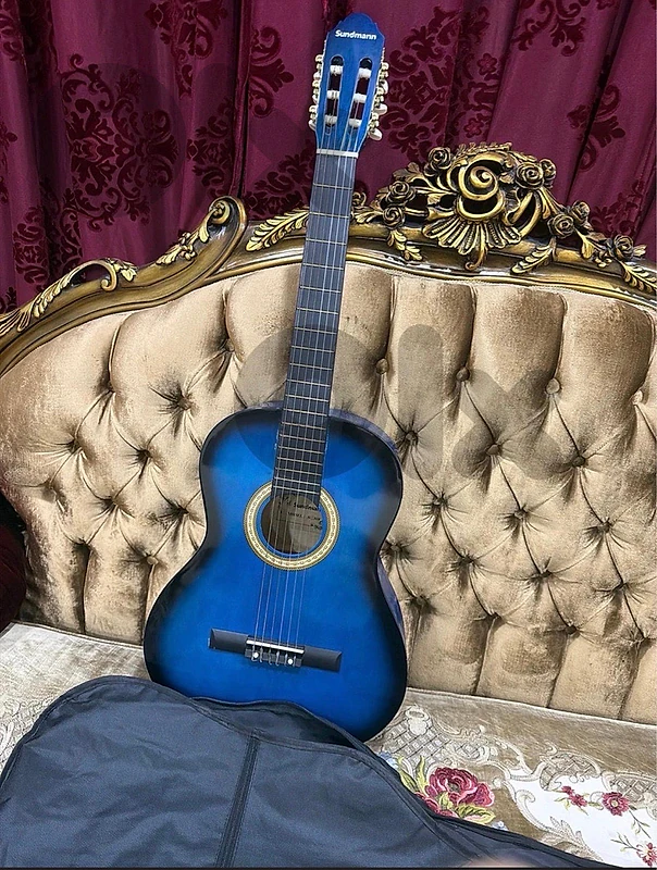 guitar + bag