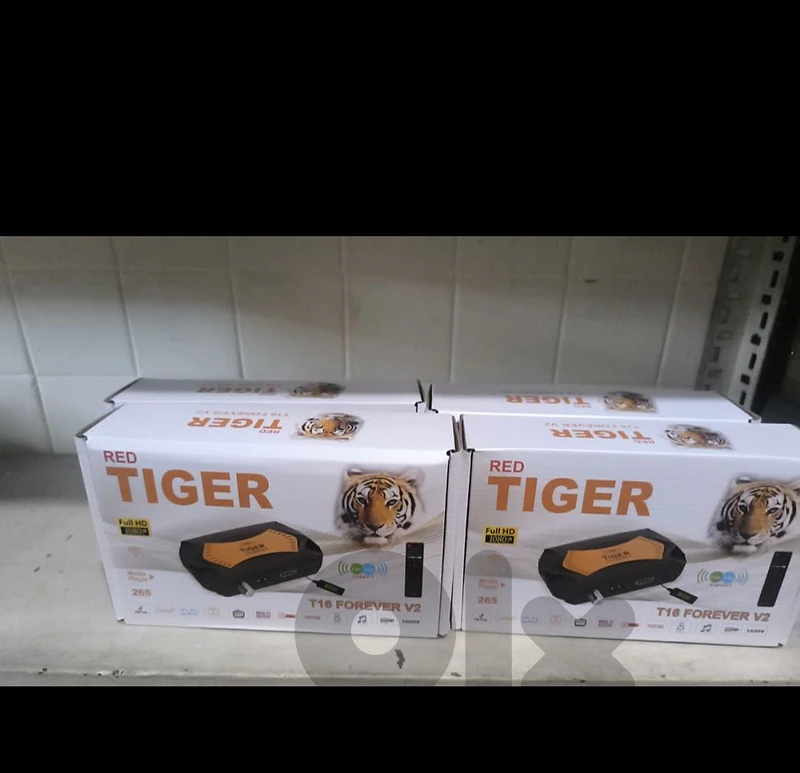 tiger t16 forever tv