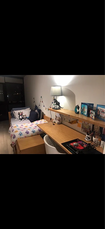 3 bedrooms /oak / with desk and drawers and pull out bed
