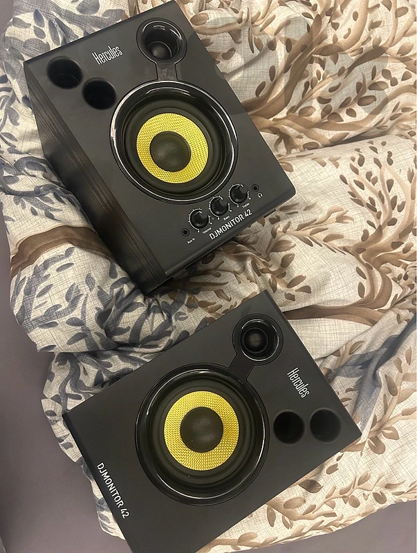 DJ monitor 42