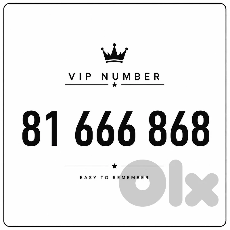 81 666 868