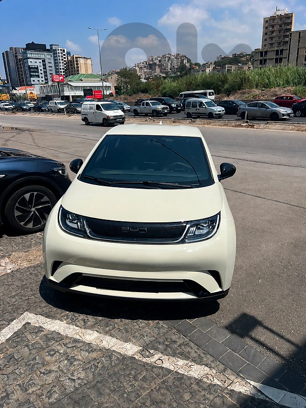 BYD Dolphin 2025 New