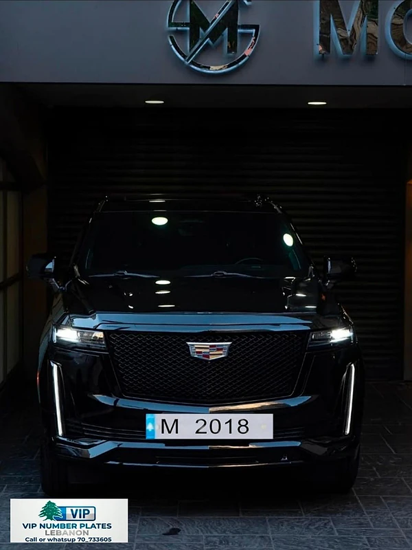 M 2018
