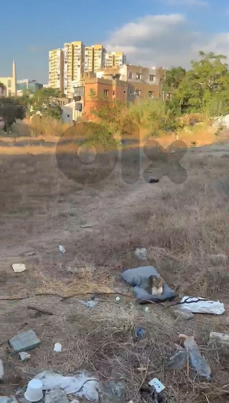 Land For Rent in Jnah