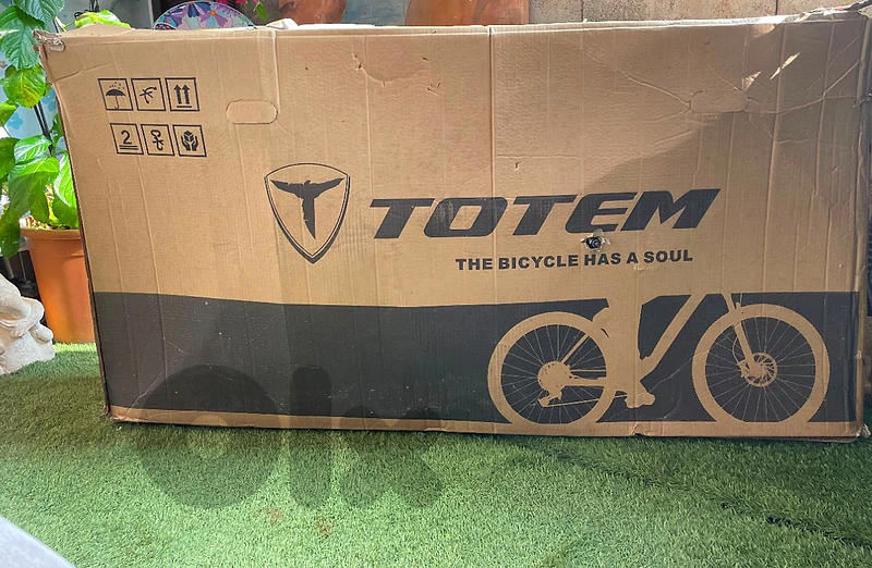 adult bicycle