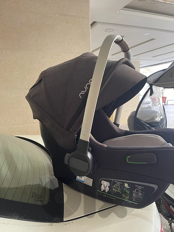 nuna pippa car seat