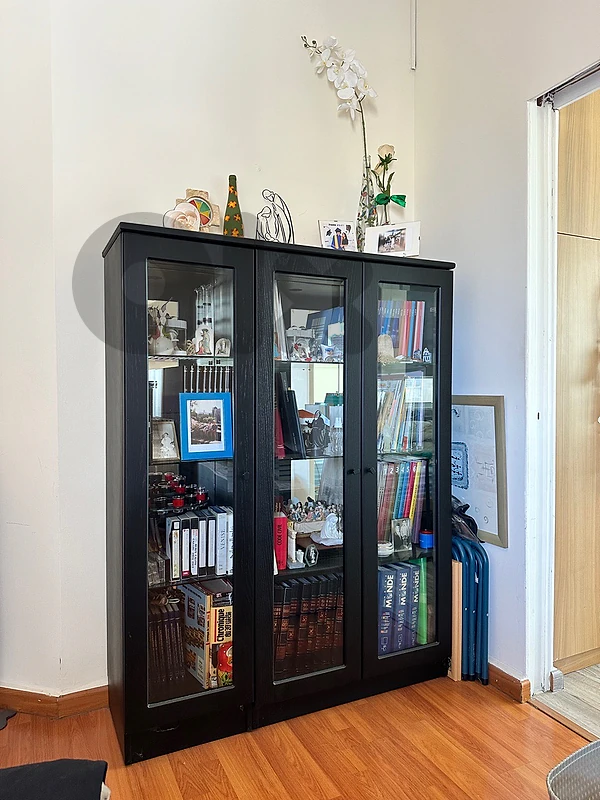 Black Glass Display Cabinet / Bookcase