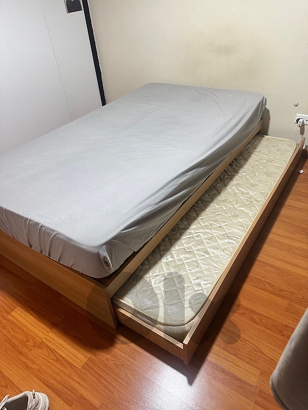 Single Bed with Pull-Out Guest Bed