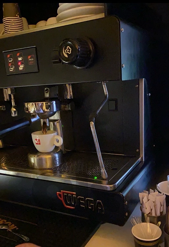 Commercial Espresso Coffee Machine - Wega Pegaso 2 Group