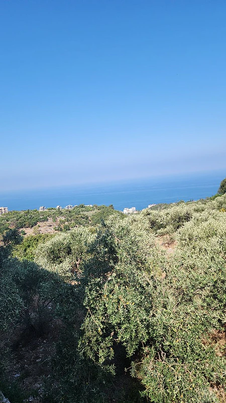 1660m² Land in Monsef Jbeil – Sea View – Owner