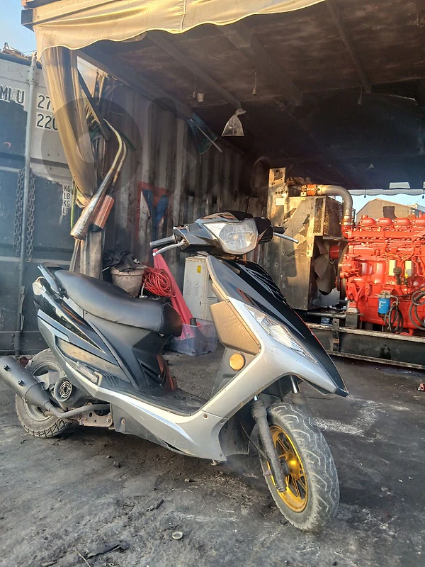 الجية