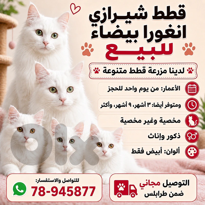 طرابلس